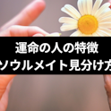 運命の人