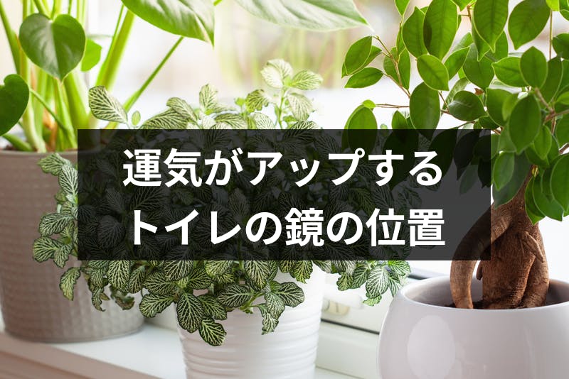 風水ではトイレに鏡は良くない 注意したい取り付け位置と方角まとめ 出会いをサポートするマッチングアプリ 恋活 占いメディア シッテク