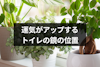 風水ではトイレに鏡は良くない？注意したい取り付け位置と方角まとめ