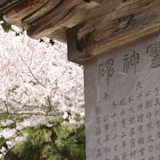 【直接取材】土津神社の神前式の魅力をインタビュー！神前式の流れや口コミもご紹介