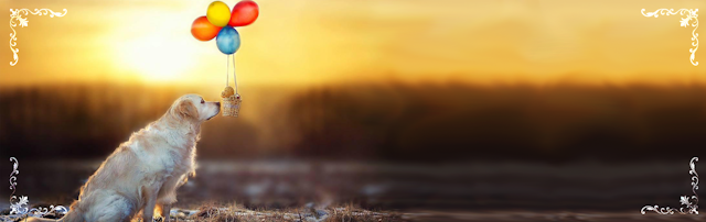 占い【14】占い館 愛