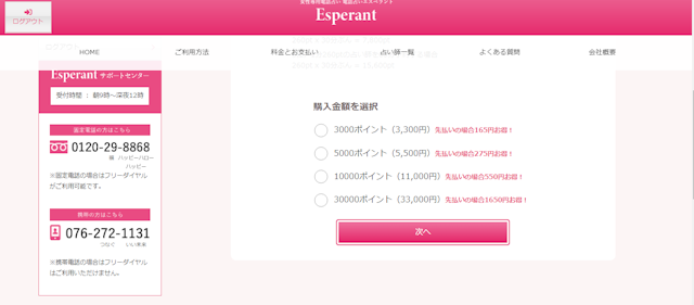 電話占いStep2：ポイント購入