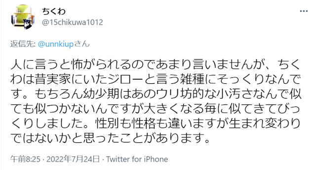 スピリチュアル感動体験！犬の生まれ変わりの実例