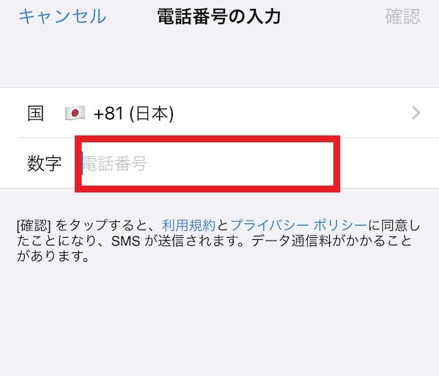 Pairs(ペアーズ)電話番号で再ログイン