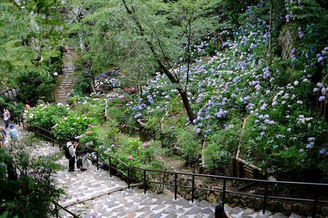 取材仏前式に関するよくある質問