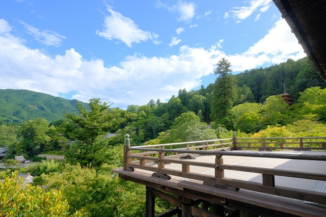 取材長谷寺からのメッセージ