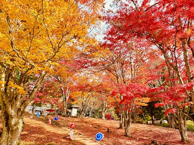 取材土津神社で思い出に残る神前式を挙げよう