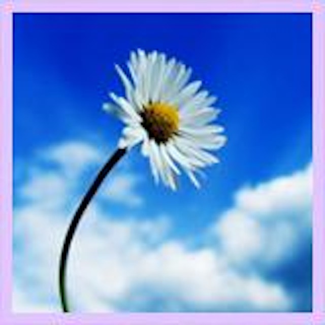 光太郎（こうたろう）先生